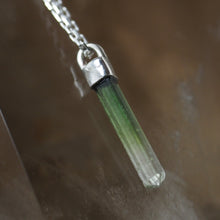 Load image into Gallery viewer, Petite Pendulum Necklace
